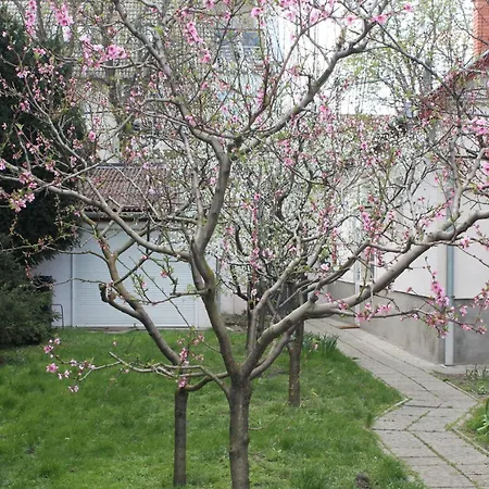 Repi-tar Apartment